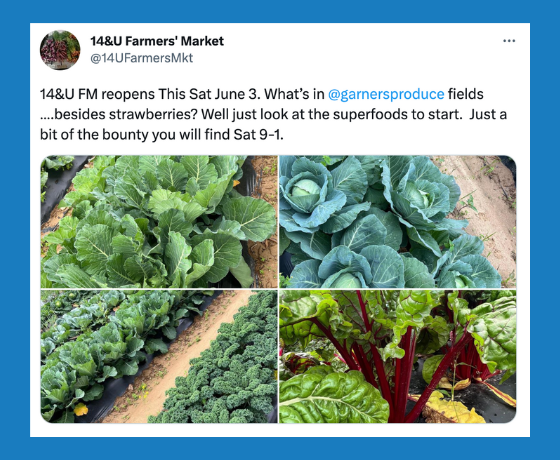 Tweet: 14&U Farmers Market reopens this Saturday, June 3. Whats in @garnersproduce fields... besides strawberries? Well just look at the superfoods to start. Just a bit of the bounty you will find Sat 9-1. Photos of cabbages and other greens.