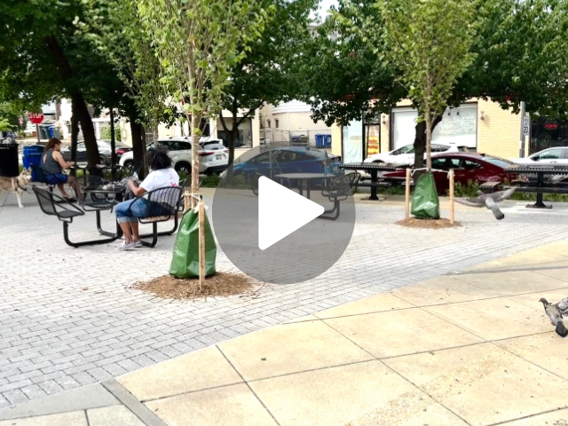 Metal tables and chairs on a gray brick area with trees and cars in the background. Two people are seated at separate tables. A pigeon is taking flight from the ground. A video play button is superimposed on the image.