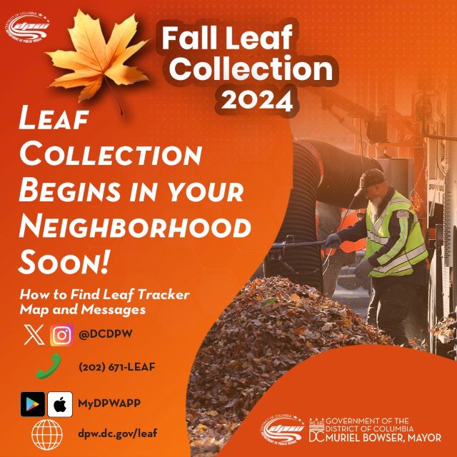 fall leaf collection 2024 begins in your neighborhood soon