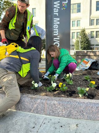 Councilmember Nadeau and her daughter plant daisies in a flower garden patch in front of a sign that reads “War Mem’l” another volunteer stands by them.