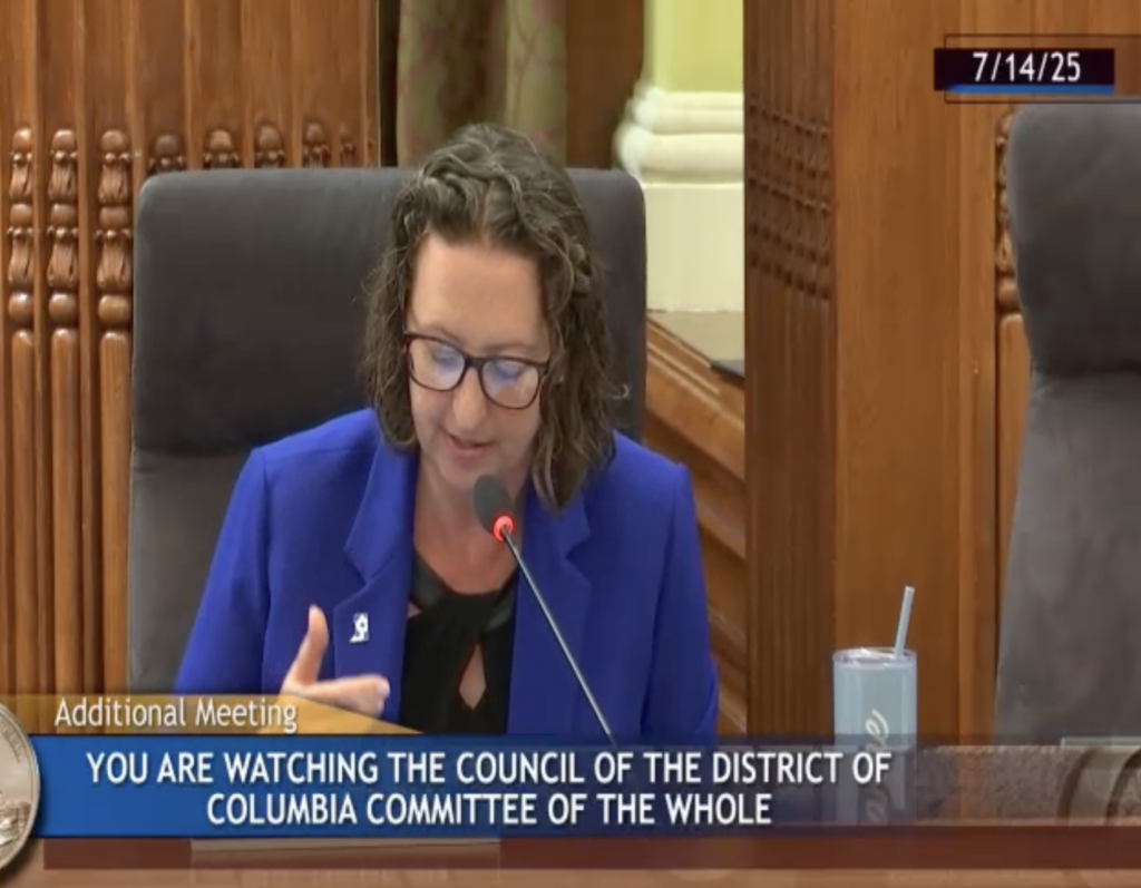 Councilmember Brianne Nadeau speaks into a microphone on the dais in the Council chamber in the Wilson Building