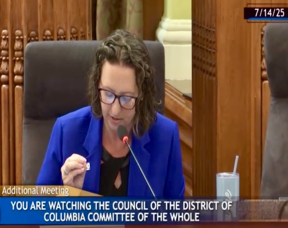 Councilmember Brianne Nadeau speaks into a microphone on the dais in the Council chamber in the Wilson Building